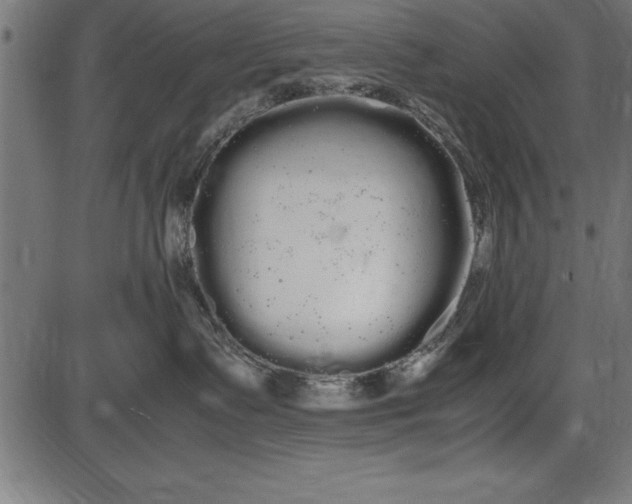 X0000086090335200704091333