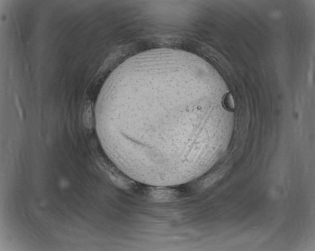 X0000086090336200704091333