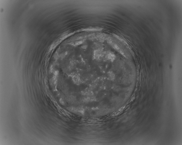 X0000086090337200704091332