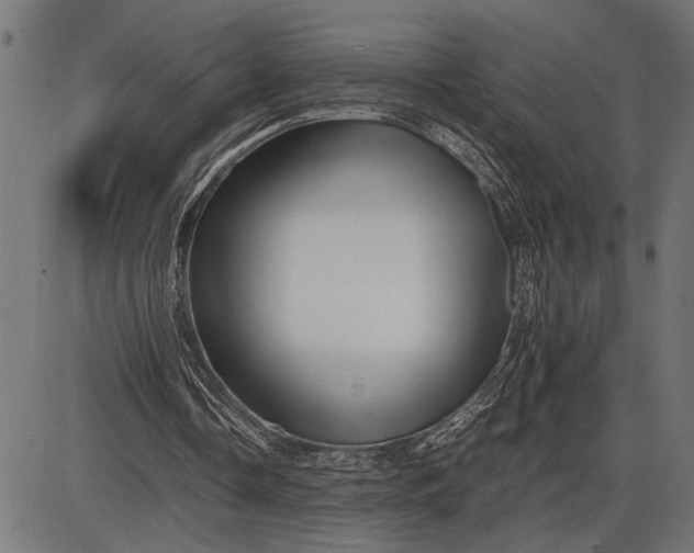 X0000086090338200704091332