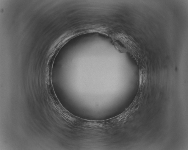 X0000086090339200704091332