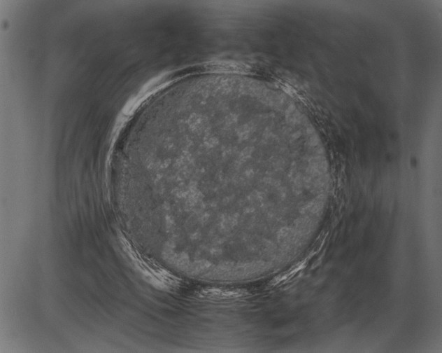 X0000086090343200704091332