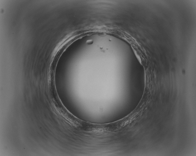 X0000086090344200704091332