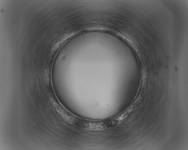 X0000086090345200704091332