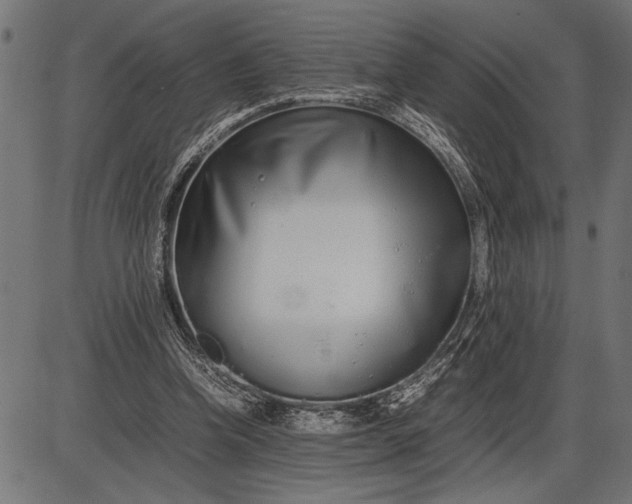 X0000086090346200704091332