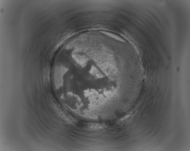 X0000086090347200704091332