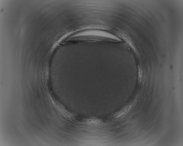 X0000086090348200704091332