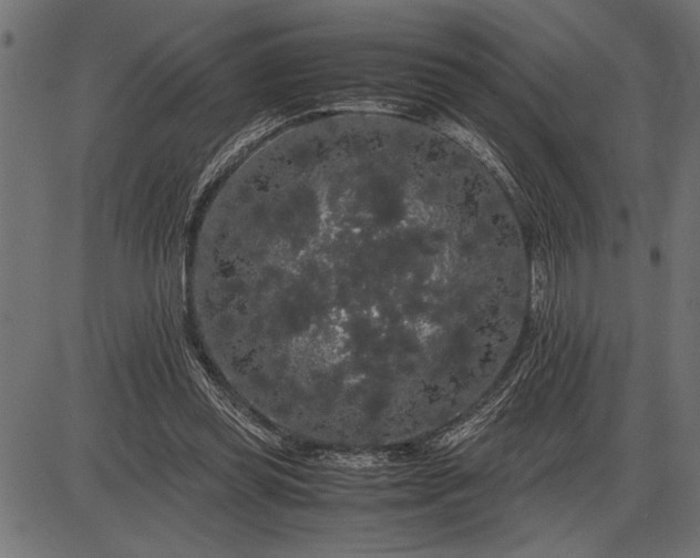 X0000086090349200704091332