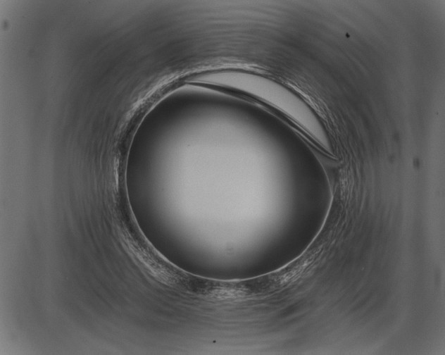 X0000086090350200704091332