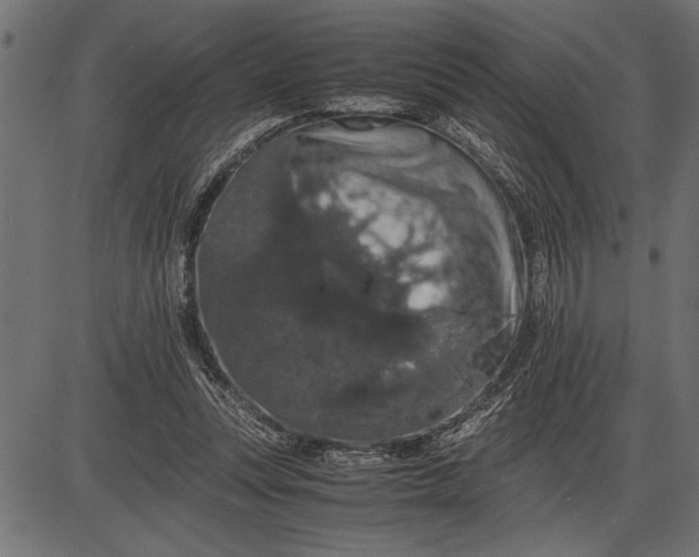 X0000086090351200704091332