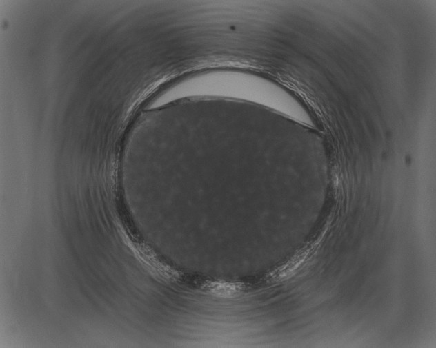 X0000086090352200704091332