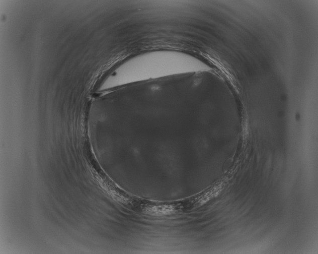 X0000086090353200704091332