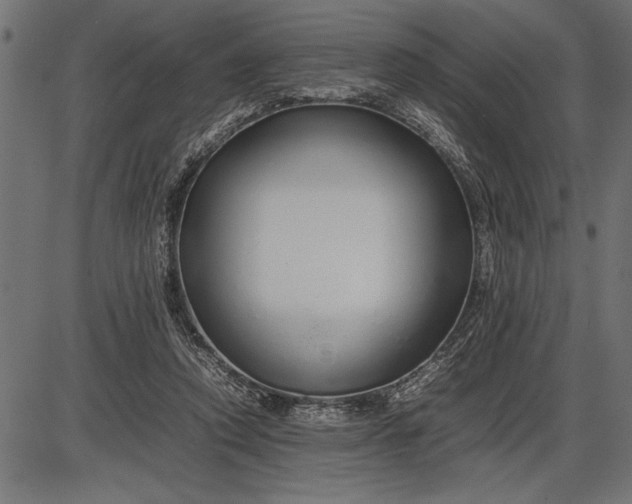 X0000086090354200704091332