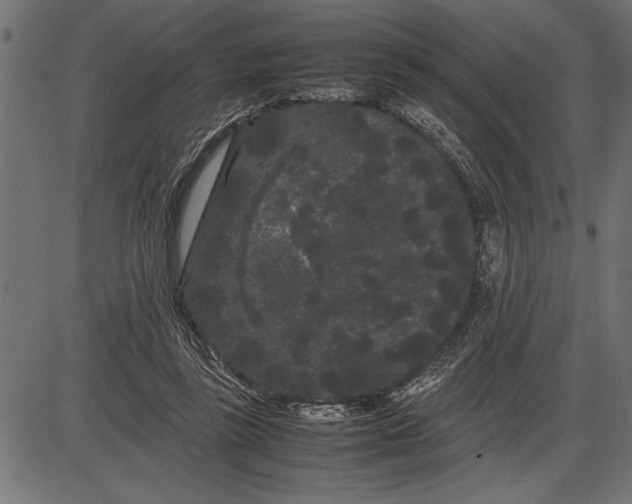 X0000086090355200704091332