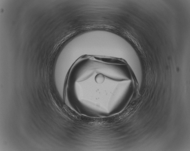 X0000086090356200704091332