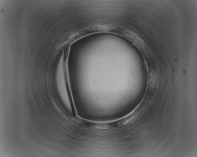 X0000086090358200704091332