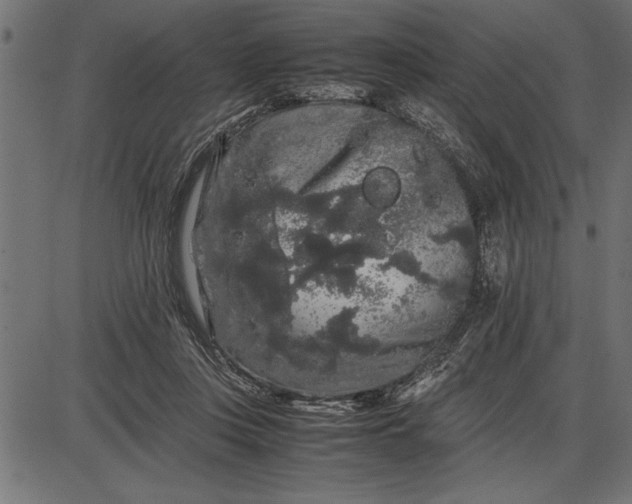 X0000086090359200704091332