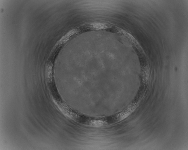 X0000086090360200704091332