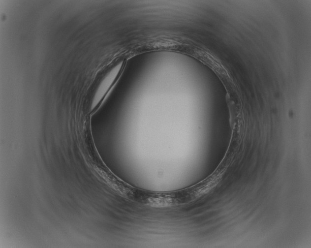 X0000086090362200704091332