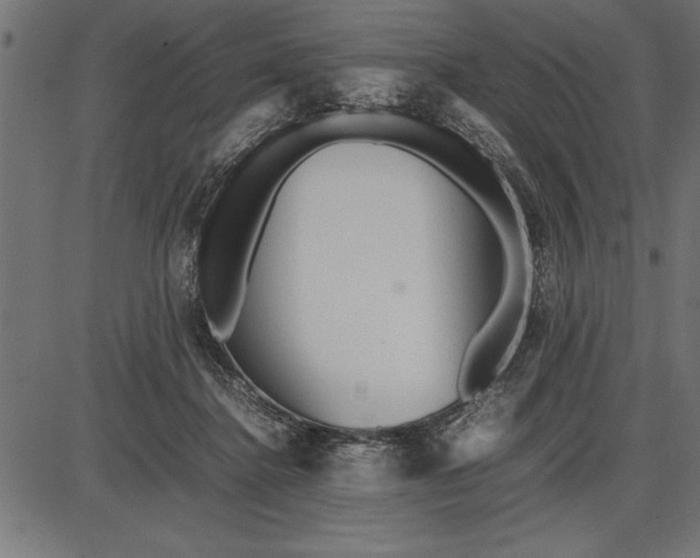 X0000086090364200704091333