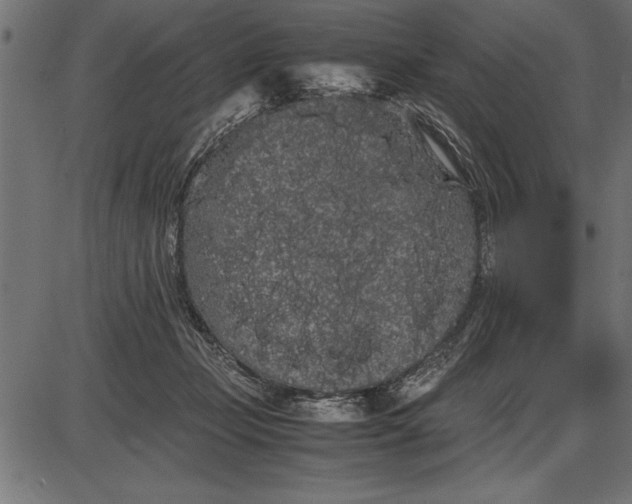 X0000086090365200704091333