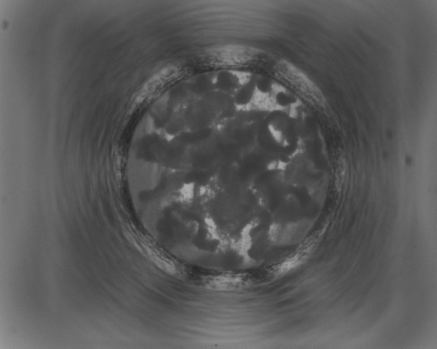 X0000086090366200704091333