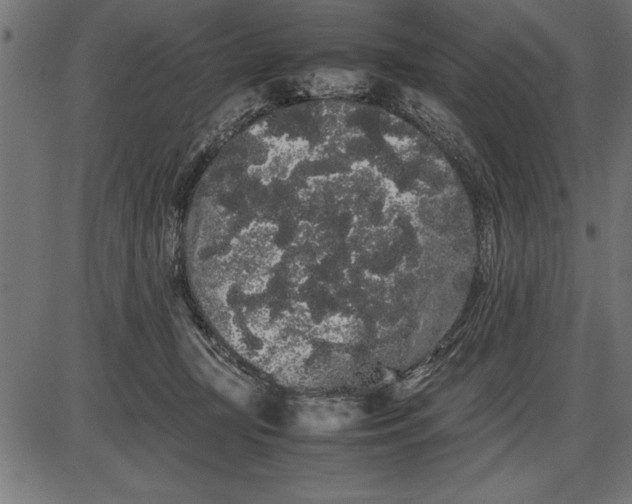 X0000086090367200704091333