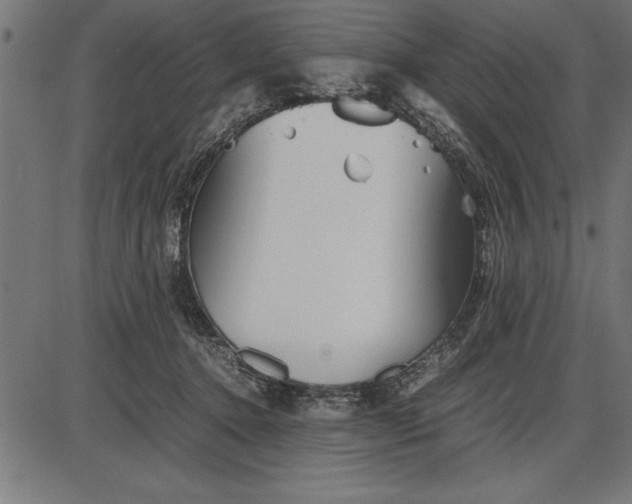 X0000086090368200704091333