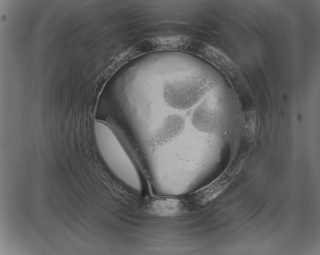 X0000086090369200704091333