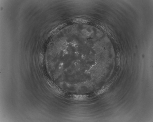 X0000086090371200704091333