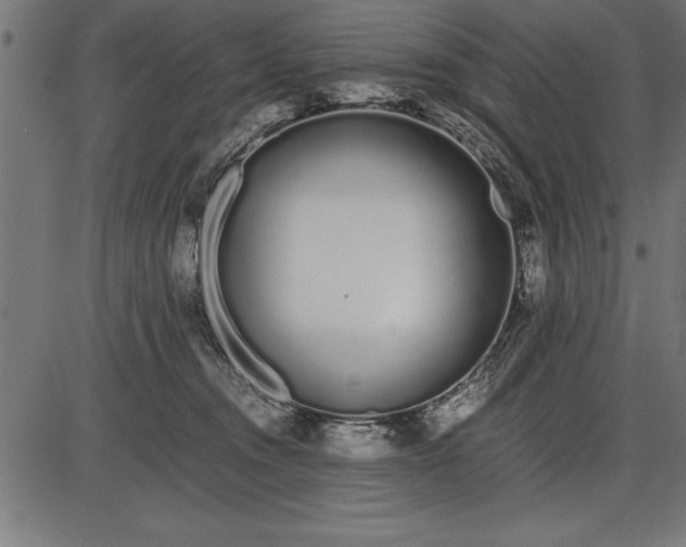 X0000086090372200704091333