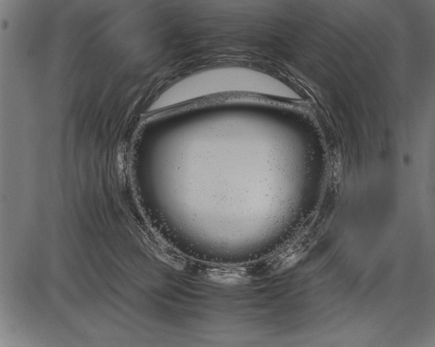 X0000086090373200704091333