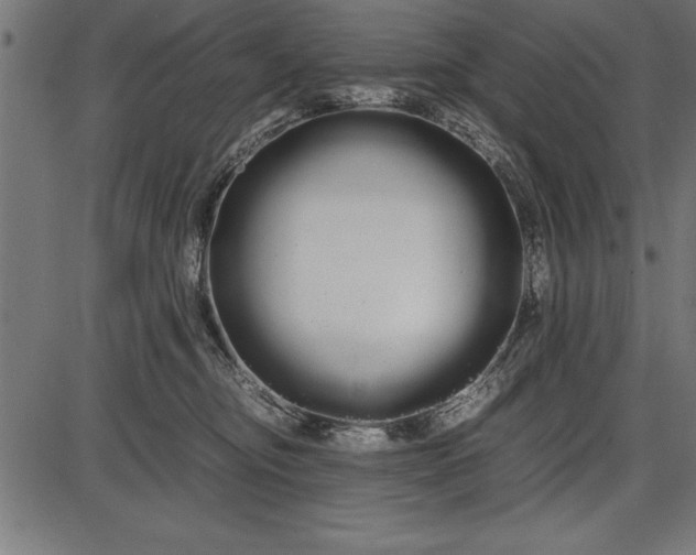 X0000086090374200704091333