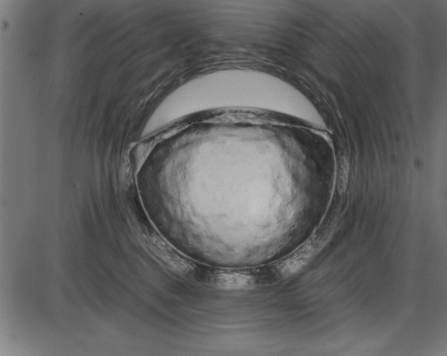 X0000086090376200704091333