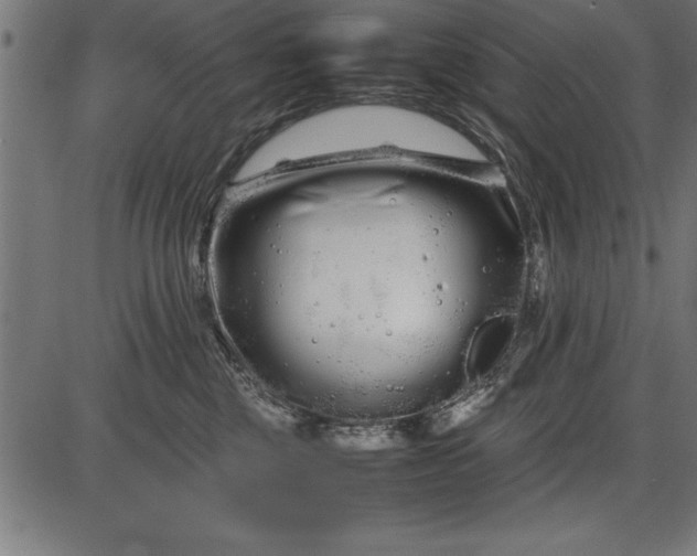 X0000086090377200704091333