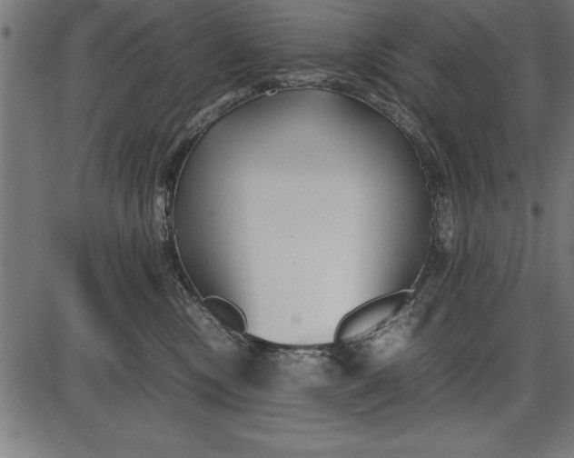 X0000086090378200704091333