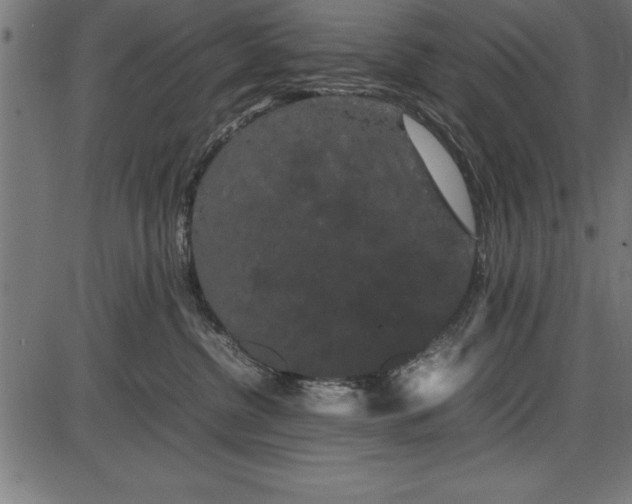 X0000086090380200704091333