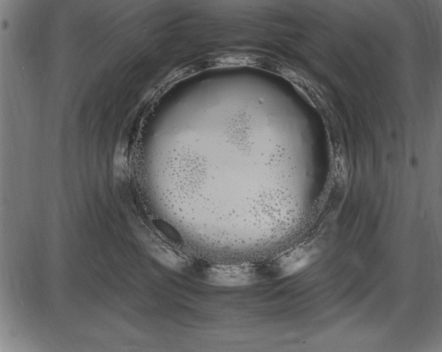 X0000086090381200704091333