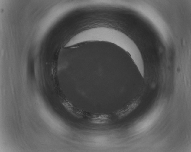 X0000086090382200704091333