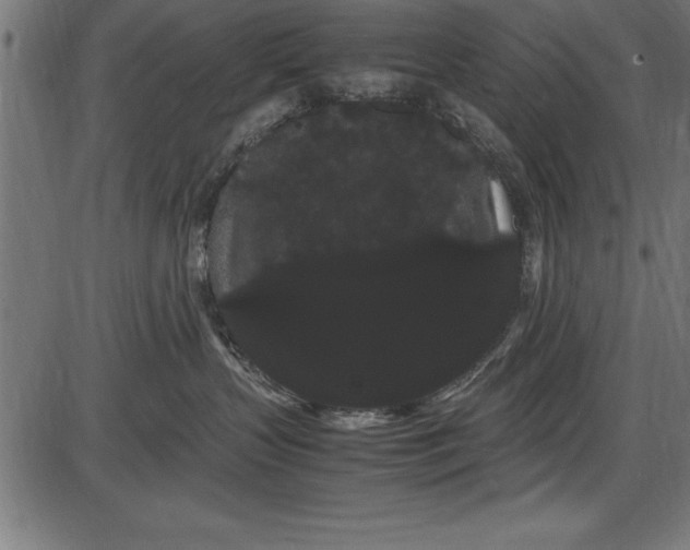 X0000086090383200704091333