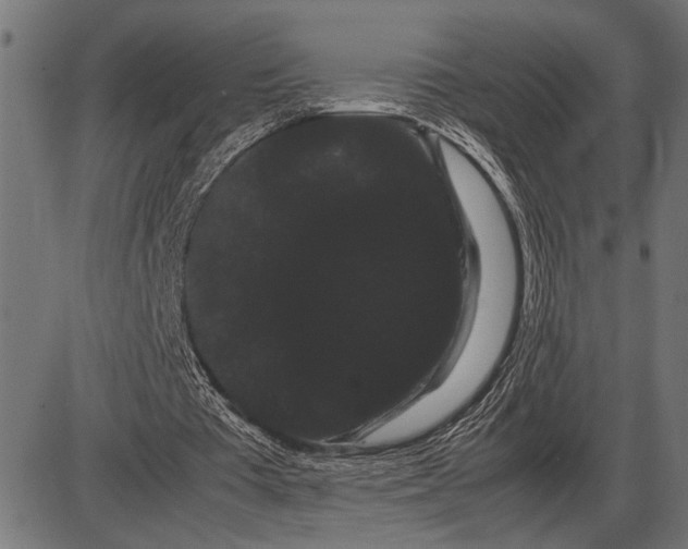 X0000086090385200704091332