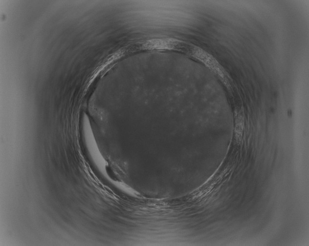 X0000086090386200704091332