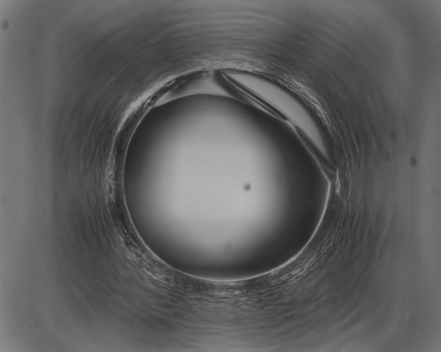 X0000086090388200704091332