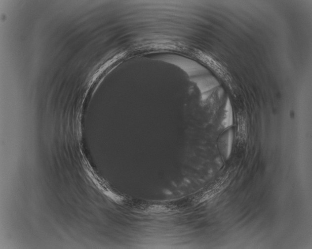 X0000086090390200704091332