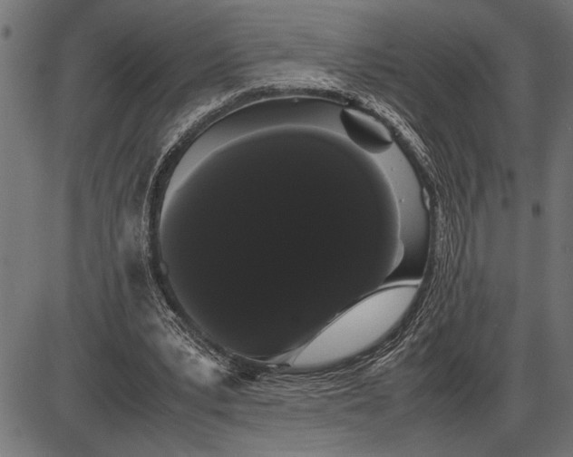 X0000086090391200704091332