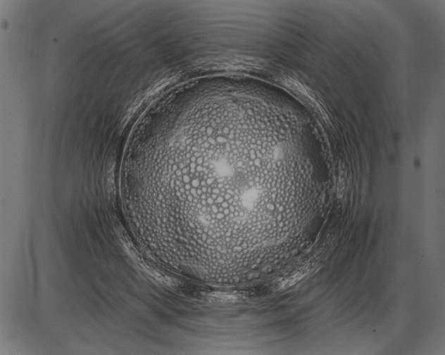 X0000086090394200704091332