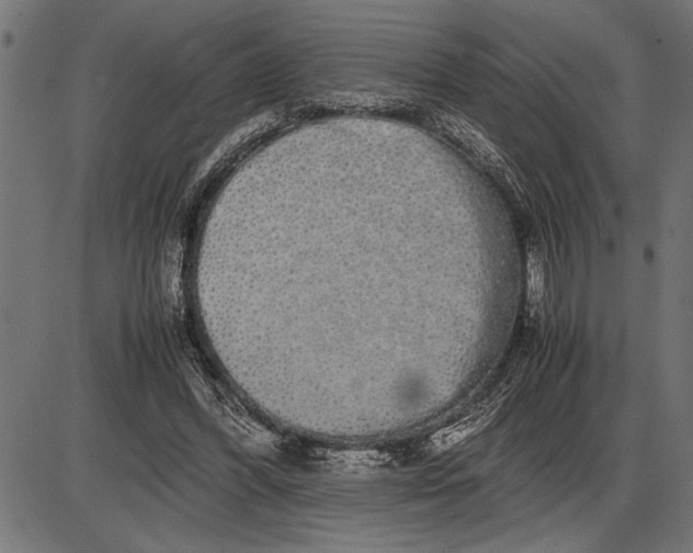 X0000086090396200704091332