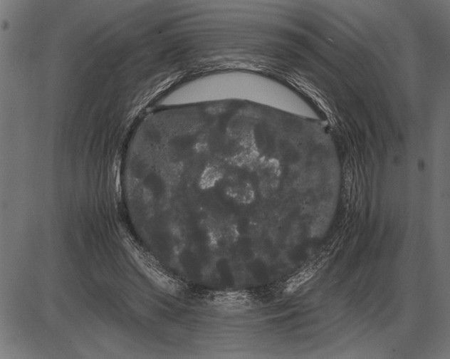 X0000086090398200704091332