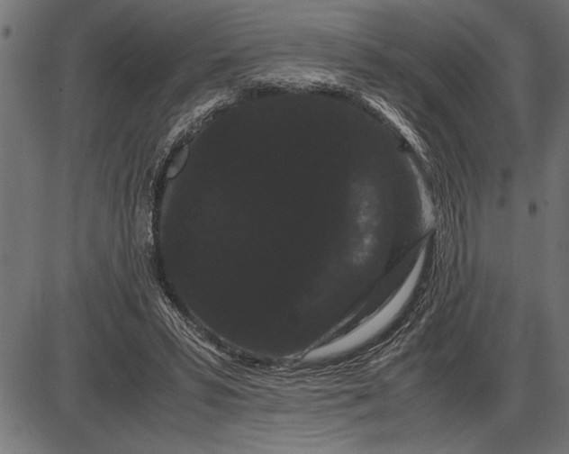 X0000086090399200704091332