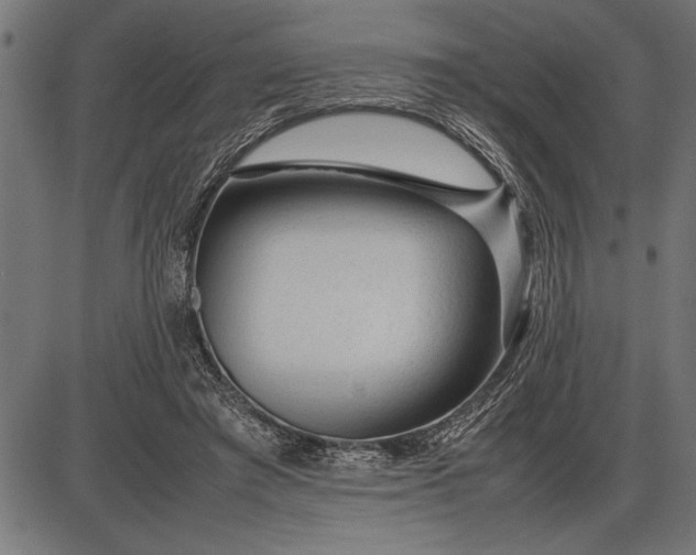 X0000086090401200704091332